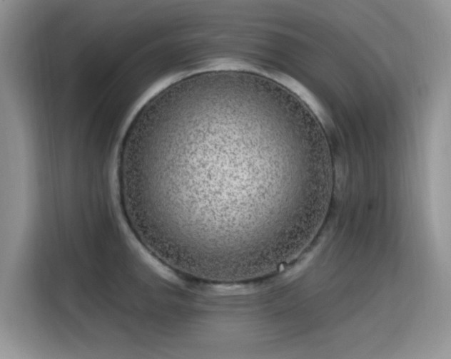 X0000115671142200911191020