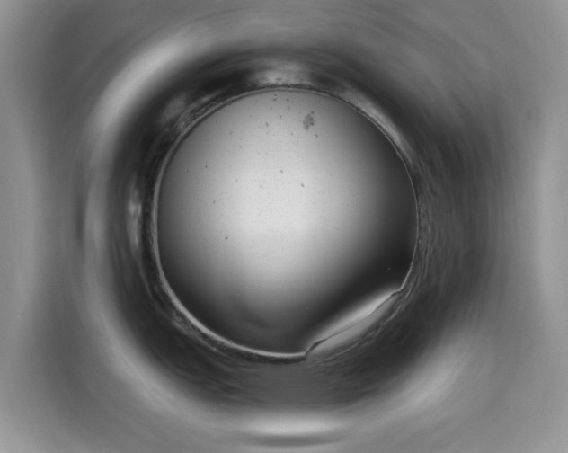 X0000115671151200911191020