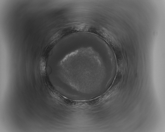 X0000115671154200911191020