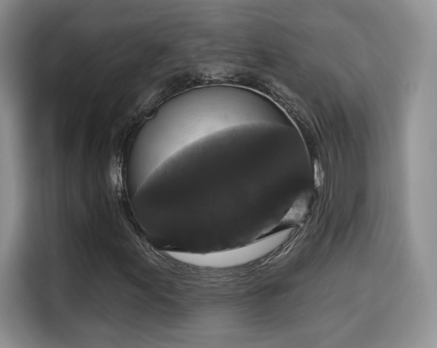 X0000115671155200911191020