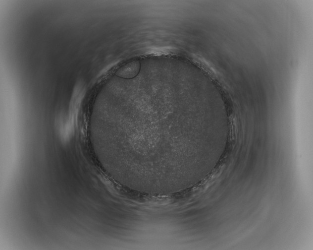X0000115671158200911191020