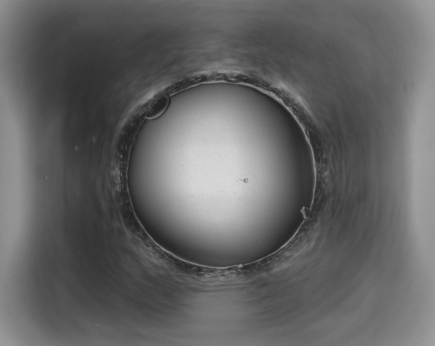 X0000115671159200911191020