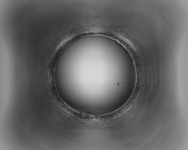 X0000115671160200911191020
