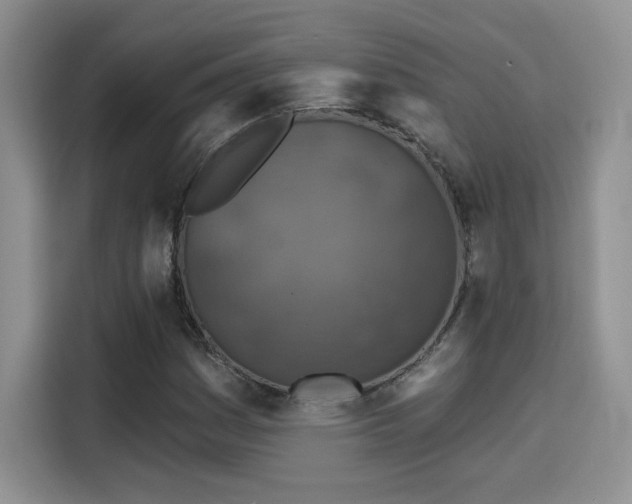 X0000115671161200911191019
