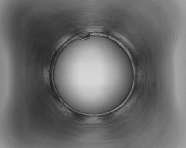 X0000115671162200911191019