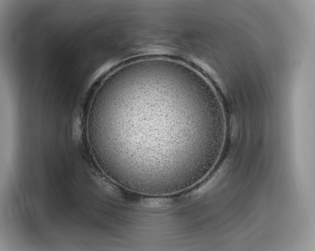 X0000115671163200911191019
