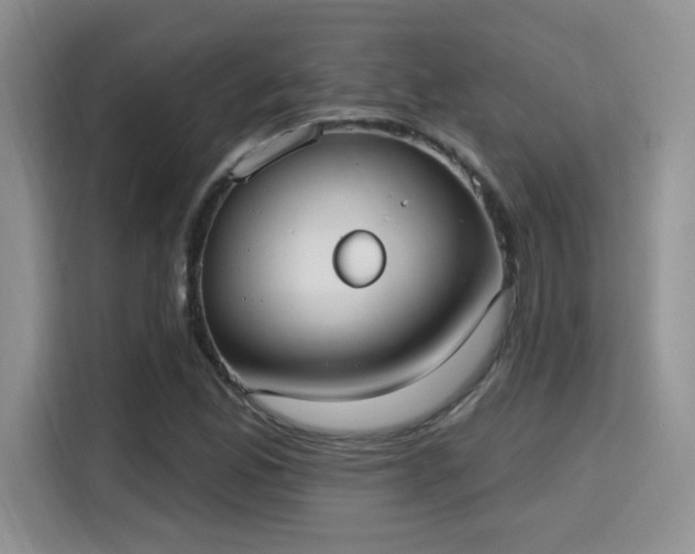 X0000115671165200911191019