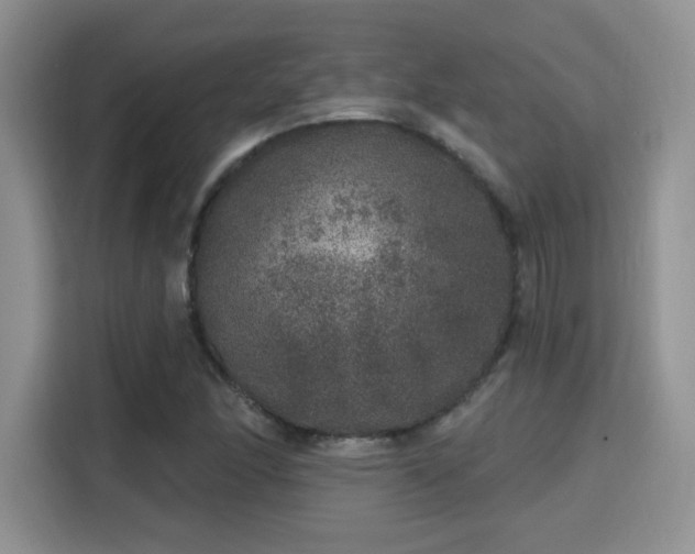 X0000115671166200911191019