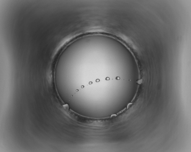 X0000115671167200911191019