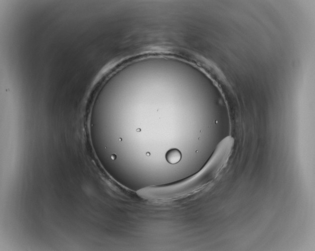 X0000115671168200911191019