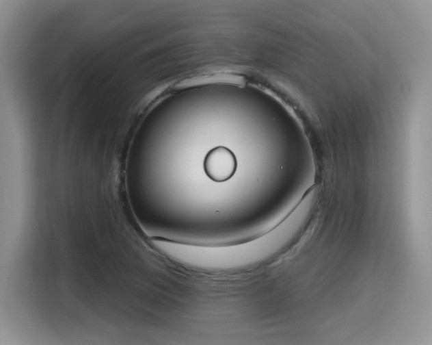 X0000115671169200911191019
