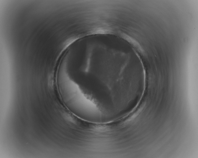 X0000115671170200911191019