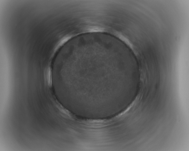 X0000115671171200911191019