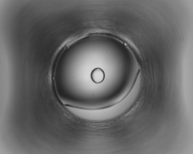 X0000115671173200911191019