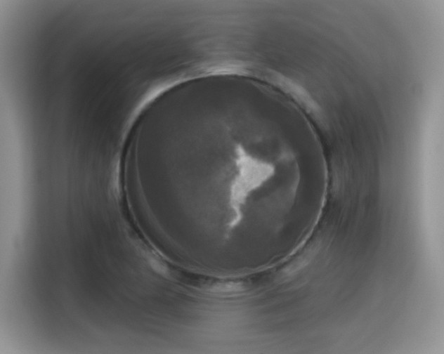 X0000115671174200911191019