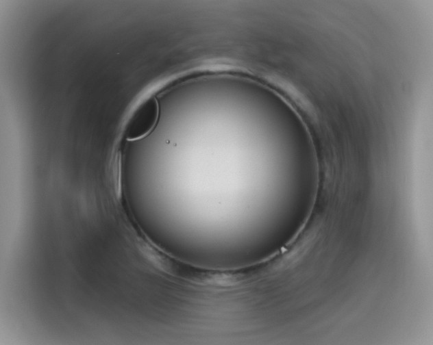 X0000115671175200911191019