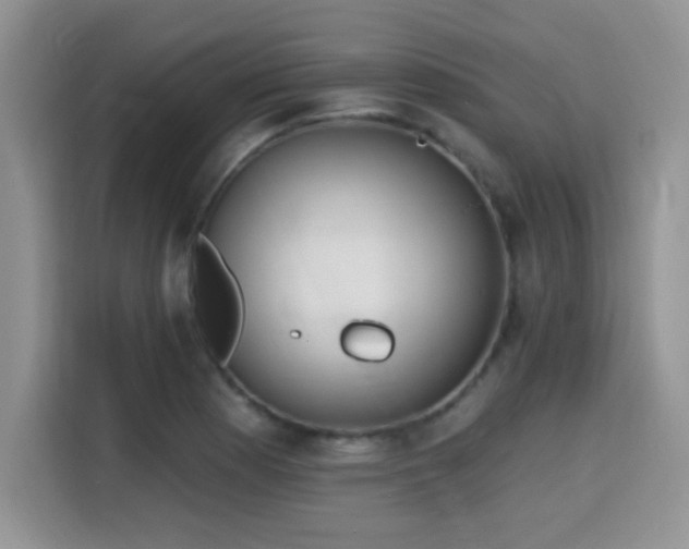 X0000115671177200911191019