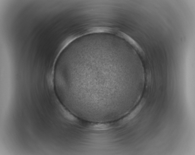 X0000115671178200911191019