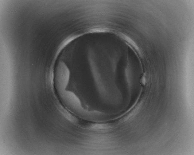 X0000115671179200911191019