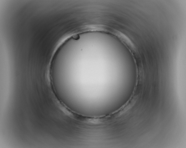 X0000115671182200911191019