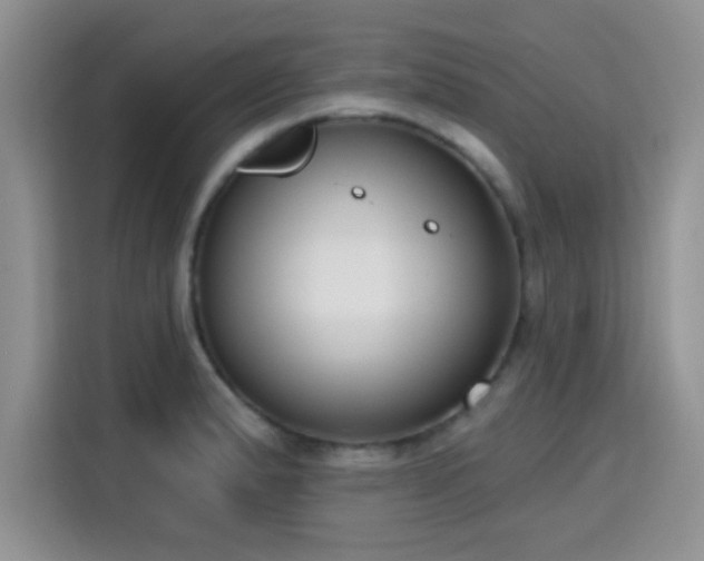 X0000115671183200911191019