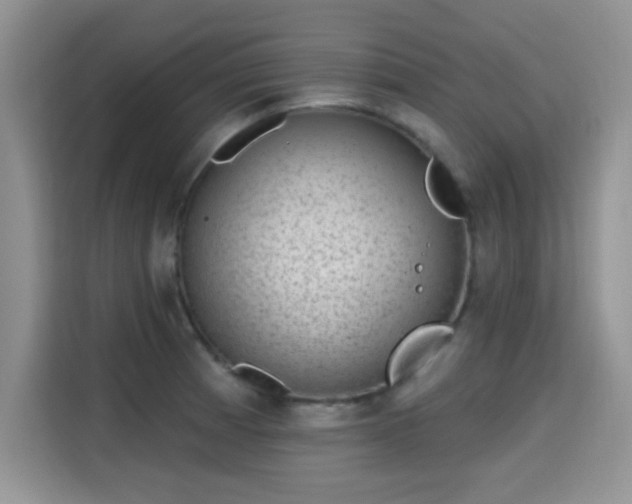 X0000115671185200911191019