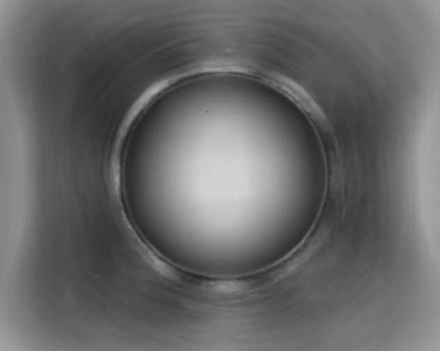X0000115671188200911191019