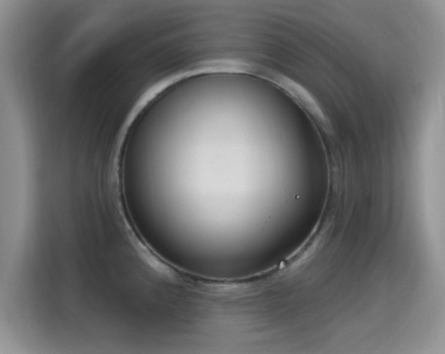 X0000115671192200911191019