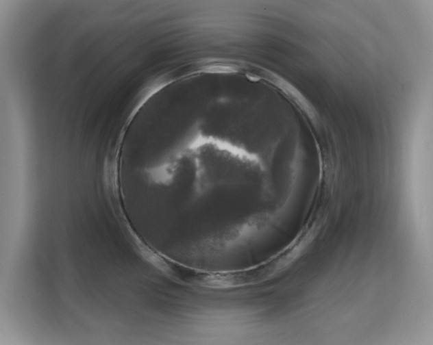 X0000115671194200911191019