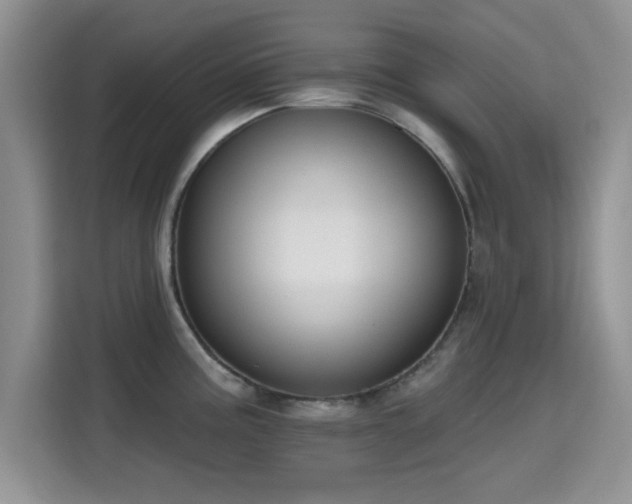 X0000115671195200911191019