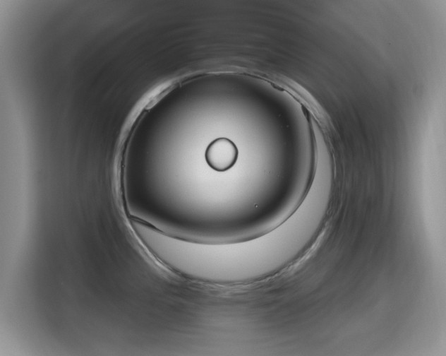 X0000115671196200911191019