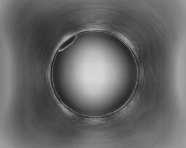 X0000115671197200911191019