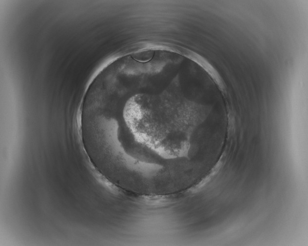 X0000115671198200911191019