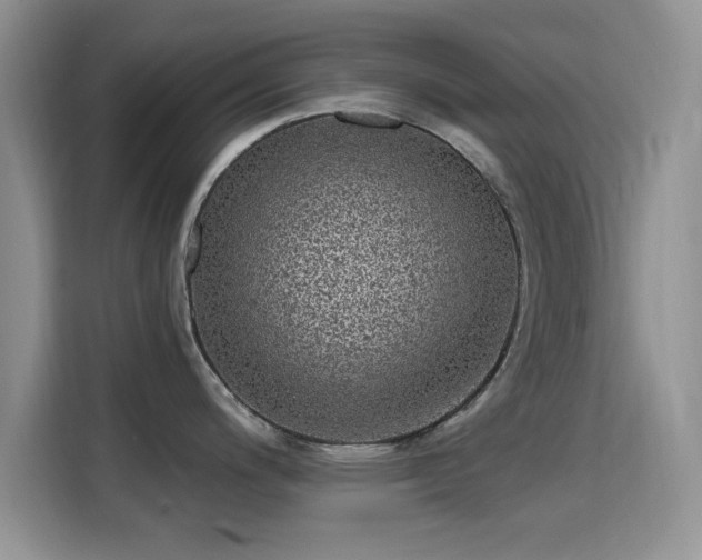 X0000115671200200911191019