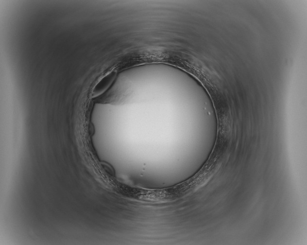 X0000115671201200911191018