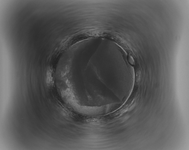 X0000115671202200911191018