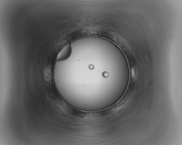 X0000115671203200911191018