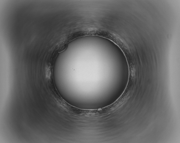 X0000115671204200911191018