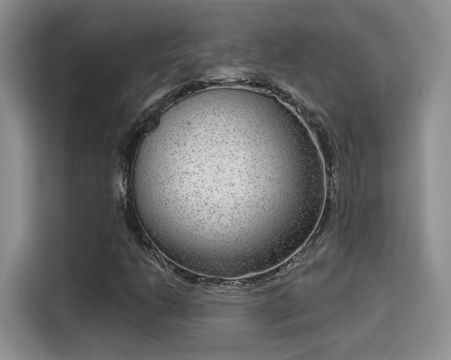 X0000115671206200911191018