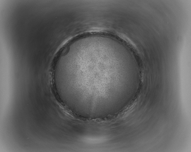 X0000115671208200911191018