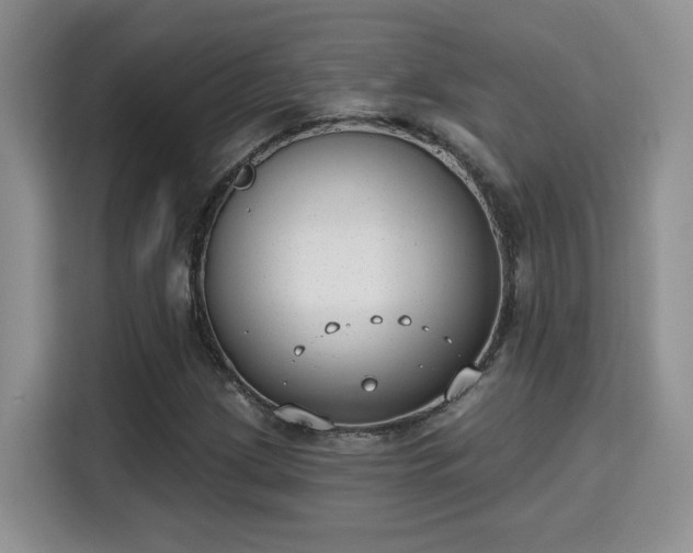 X0000115671209200911191018