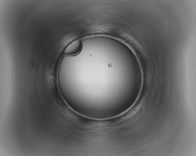 X0000115671210200911191018