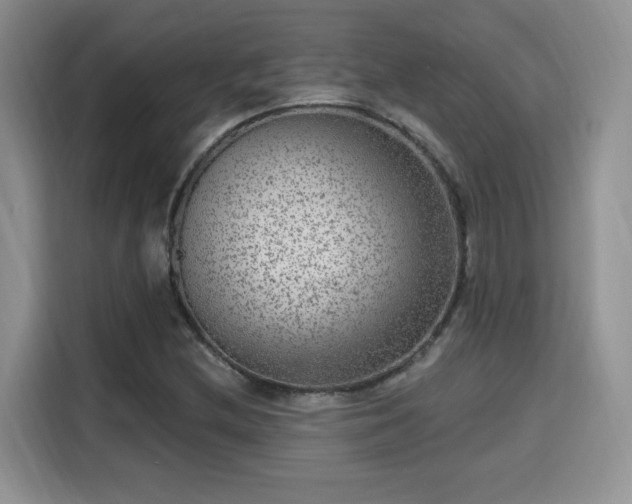 X0000115671212200911191019