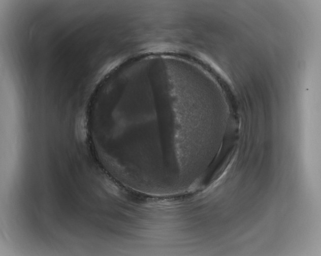 X0000115671213200911191019