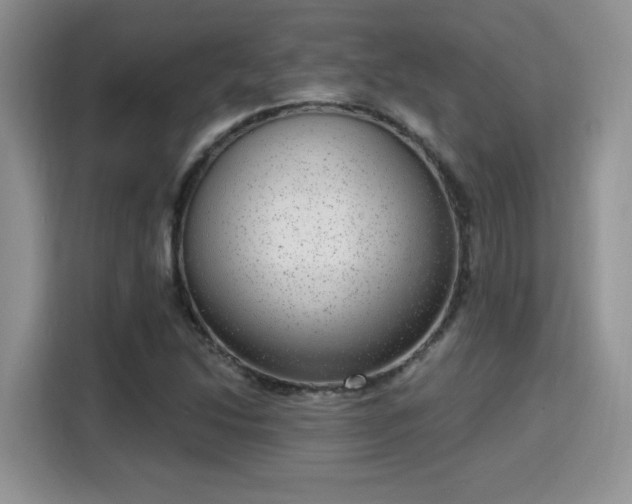 X0000115671214200911191019