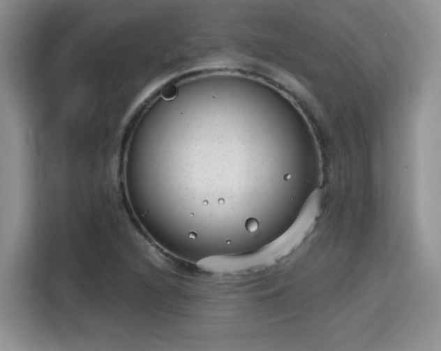 X0000115671216200911191019