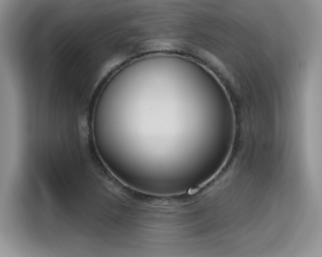 X0000115671218200911191019