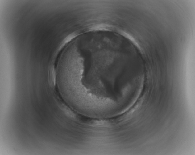 X0000115671219200911191019