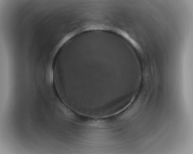X0000115671221200911191019