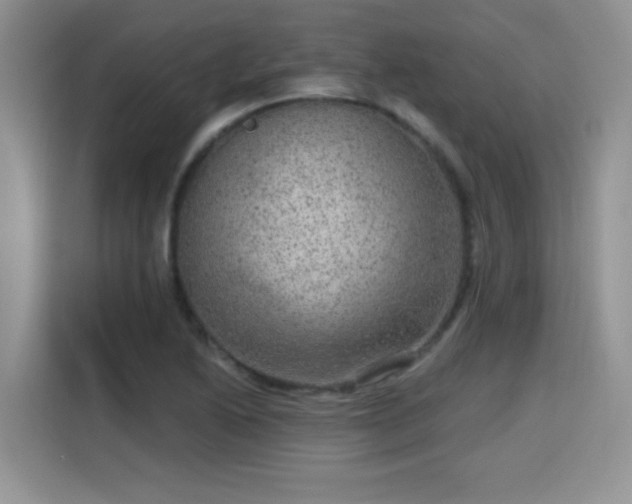X0000115671222200911191019